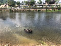 -杭州双溪漂流景区