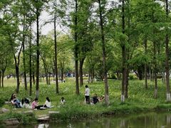 -洋湖国家湿地公园