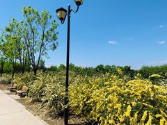 -永定河休闲森林公园