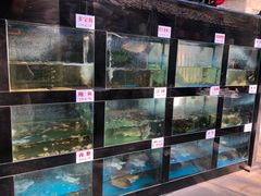 水产区-院8里·少城记忆老川菜(宽窄巷子店)