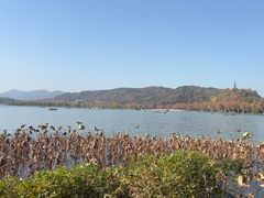 -湖畔居茶楼(湖滨店)