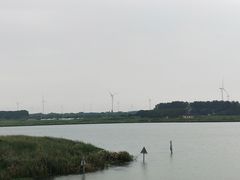 -莲花岛景区