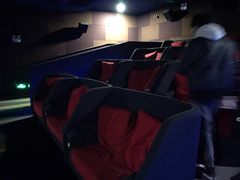 -大地影院(上海南汇店)