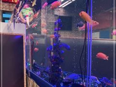 -新辉港式茶餐厅(北栅店)