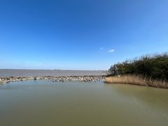 -上海吴淞炮台湾国家湿地公园
