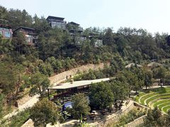 -裸心谷·裸心味餐厅