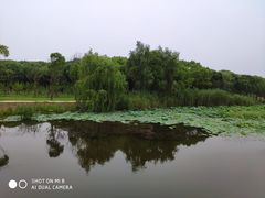 -同里国家湿地公园