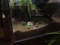 -Together·泰式按摩精油SPA(天山店)