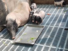 -北京鹿世界主题园