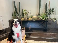 -J Create城市露营咖啡·简餐·宠物(上海动物园店)