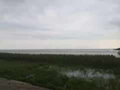 -合肥滨湖国家森林公园