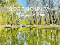 -长白岛森林公园