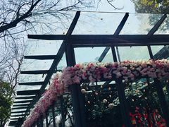 -星巴克(西湖天地店)