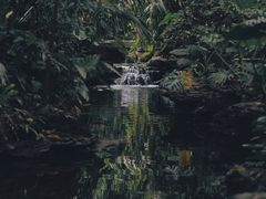 -广州兰圃
