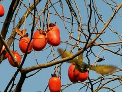 -杭州六谷生态休闲农庄有限公司