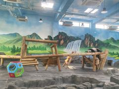 -秦皇岛野生动物园
