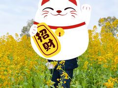 -瑶湖郊野森林公园