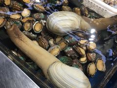 鲍鱼-盒马鲜生(莱蒙都会店)