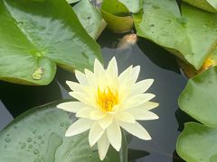 -白鹭湾湿地公园