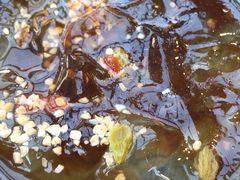 -谭鸭血老火锅(漳州路店)