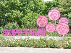 -大望京公园