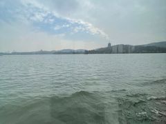 -西湖外事游船(花港观鱼码头)