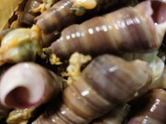 -大城·烧烤海鲜大排档(台东店)