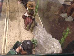 iphone_upload_pic-济州岛泰迪熊博物馆