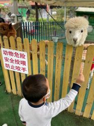 -萌宠亲子动物乐园(槐房万达店)