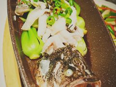 鲜椒鲈鱼-大铁勺新津菜(迎水道店)