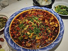 -新概念来凤鱼(璧山店)