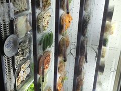 -马路牙子地桌烤肉(工体店)