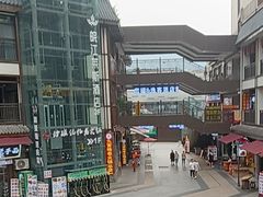 -颜氏双江清水鱼一养身火锅(磁器口店)