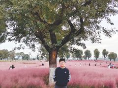 -汉长安城未央宫国家考古遗址公园