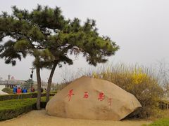 -天马广场