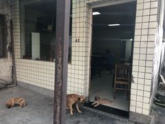 -许村蟹面(海宁许村大道店)