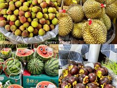 -东莞君尚