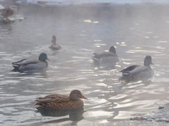 -水磨沟公园
