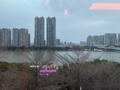 -半岛太子酒家(海港城店)