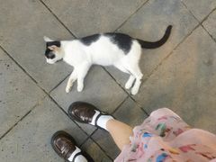 -竹吟山房