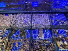 -青蓬蒸汽海鲜·深圳老字号·团建聚会(壹方城店)