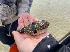 -北海金海湾红树林生态旅游区