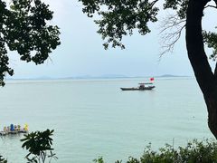 -贡湖湾湿地公园