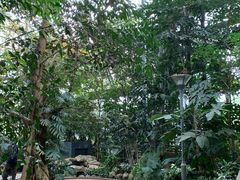 -南山植物园
