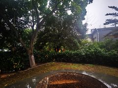 -姑婆山森林酒店