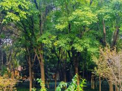 -洛阳市隋唐城遗址植物园