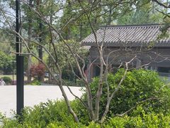 -东明山森林公园