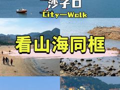 -单家老院·院子里的青岛菜(沙子口店)