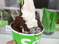 -Salud撒露欧洲冻酸奶(蓝色港湾店)