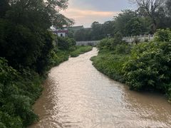 -崖口红树林海鲜餐厅